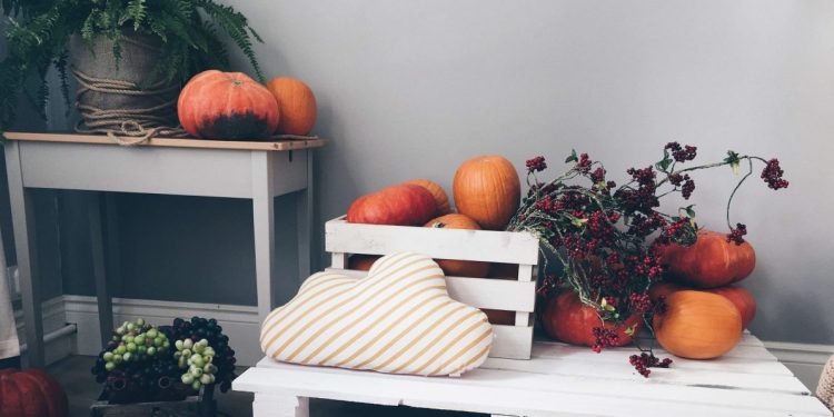 Best Influencers to Follow for Halloween Decor